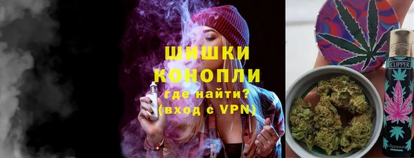 ГАЛЛЮЦИНОГЕННЫЕ ГРИБЫ Лагань