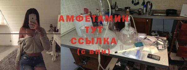 ГАЛЛЮЦИНОГЕННЫЕ ГРИБЫ Лагань