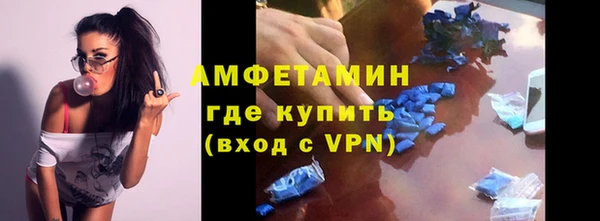 ГАЛЛЮЦИНОГЕННЫЕ ГРИБЫ Лагань