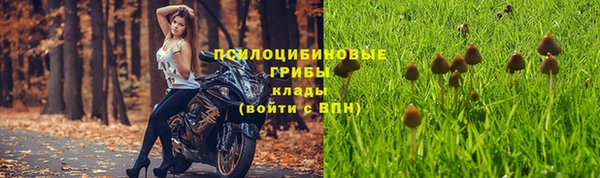 ГАЛЛЮЦИНОГЕННЫЕ ГРИБЫ Лагань