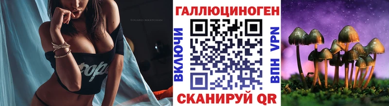 hydra как войти Мончегорск Псилоцибиновые грибы Psilocybe